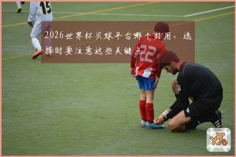 2026世界杯买球平台哪个好用，选择时要注意这些关键点