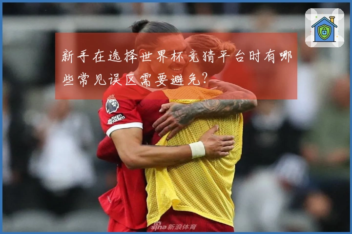 新手在选择世界杯竞猜平台时有哪些常见误区需要避免？