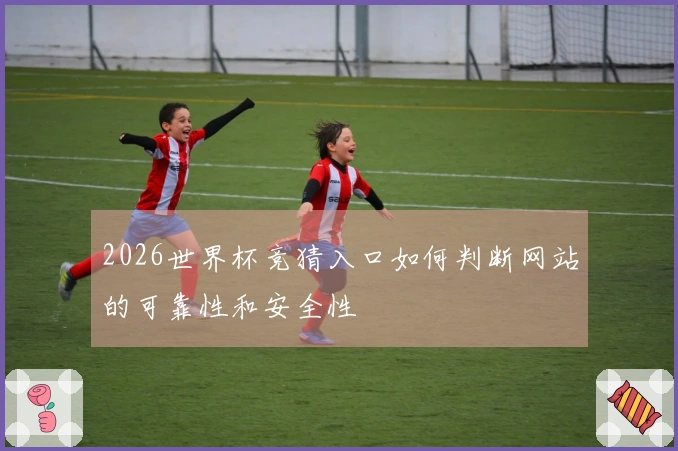 2026世界杯竞猜入口如何判断网站的可靠性和安全性