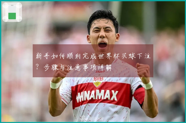 新手如何顺利完成世界杯买球下注？步骤与注意事项详解